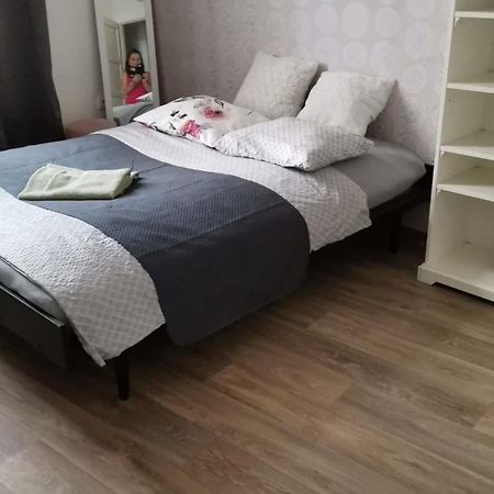 Stylovy Apartman V Centru Nachoda Dış mekan fotoğraf