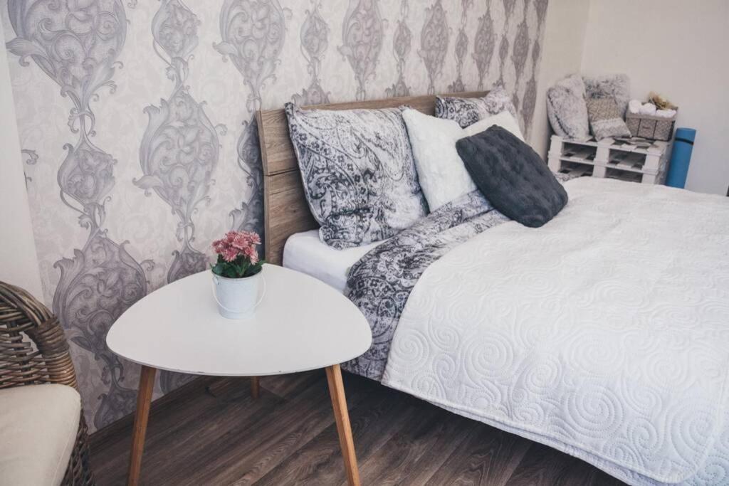 Stylovy Apartman V Centru Nachoda Dış mekan fotoğraf
