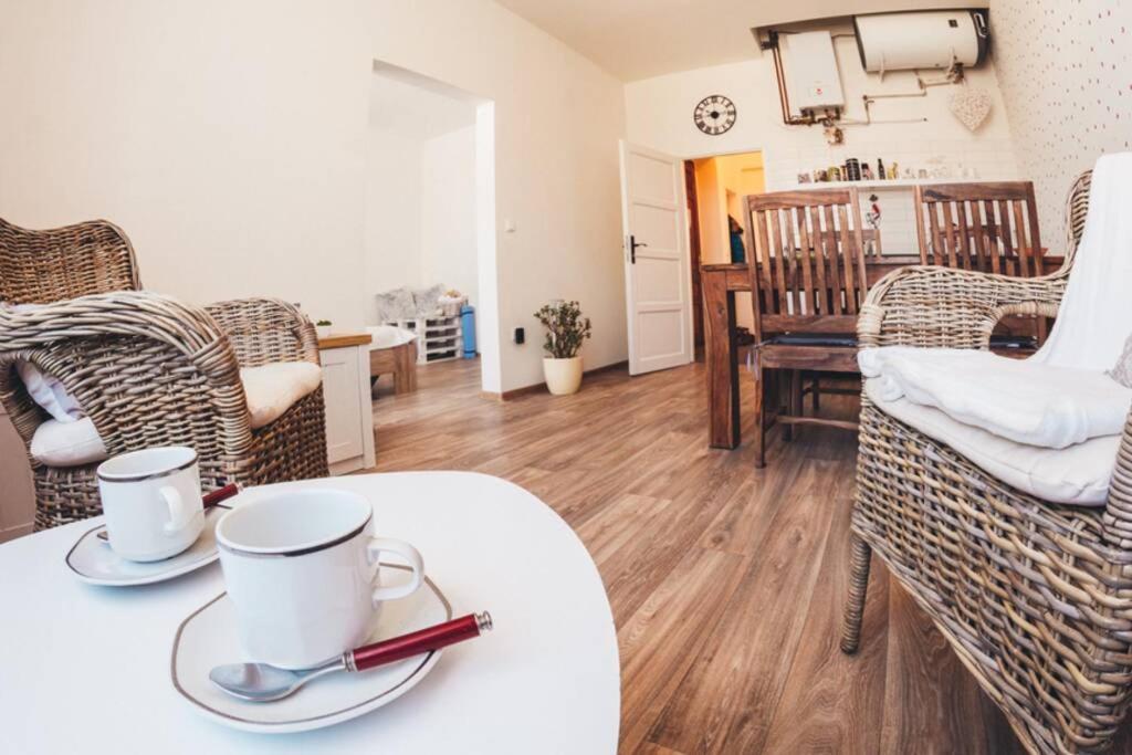 Stylovy Apartman V Centru Nachoda Dış mekan fotoğraf