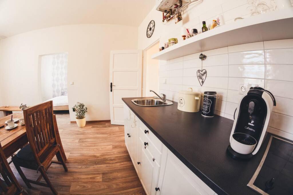 Stylovy Apartman V Centru Nachoda Dış mekan fotoğraf