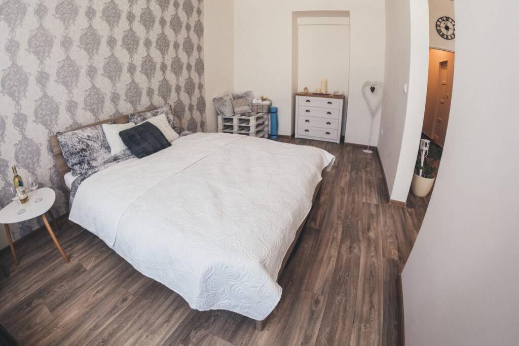 Stylovy Apartman V Centru Nachoda Dış mekan fotoğraf